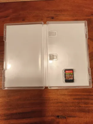 Minecraft Nintendo Switch