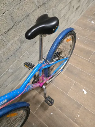 Bicicleta a ruote 24