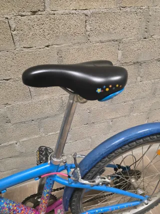 Bicicleta a ruote 24