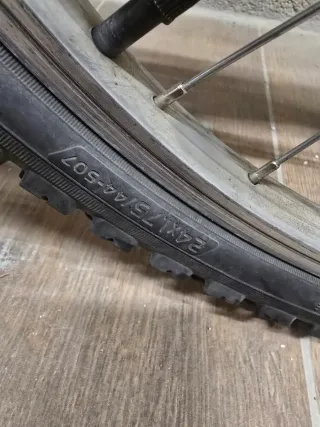 Bicicleta a ruote 24