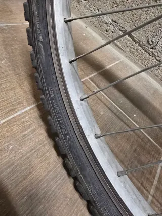 Bicicleta a ruote 24