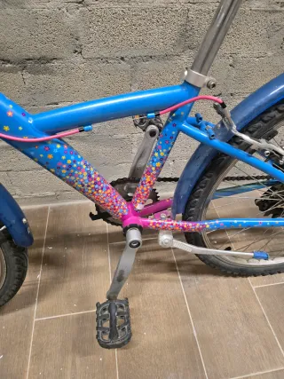 Bicicleta a ruote 24