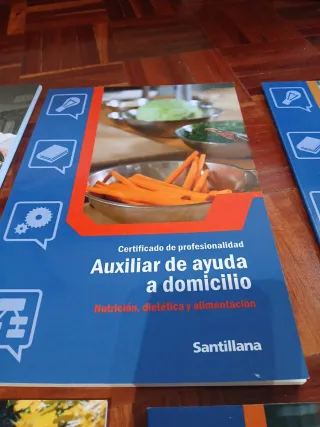 Grado medio auxiliar de ayuda a domicilio