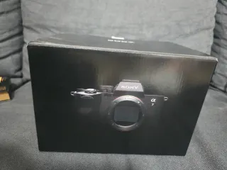 Sony Alpha 7 IV - 6 meses de uso