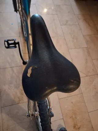 Bicicleta Orbea Azul y Plata