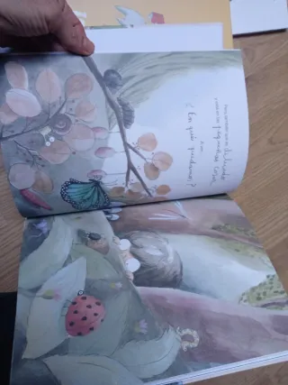 3x 20€ Minimoni, Monstruo armario Rocío Bonilla