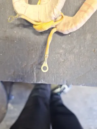 Inductora Dinamo Femsa 8037-2J.