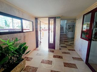 Estudio en alquiler en Rincón de Loix en Benidorm