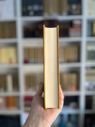 El paraíso en la otra esquina. Vargas Llosa