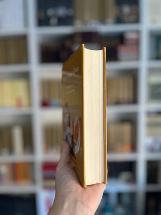 El paraíso en la otra esquina. Vargas Llosa