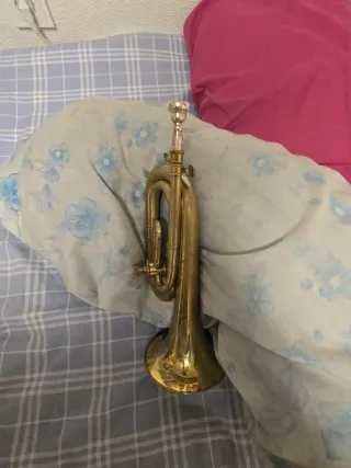 Corneta Honsuy Carmen Si b - Do