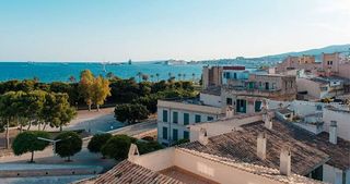 Piso en alquiler en La Seu - Cort - Monti-sión en Palma de Mallorca