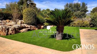 Césped Artificial 35 mm - Camelia 35