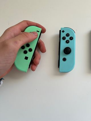 Nintendo Switch Ed. Animal Crossing