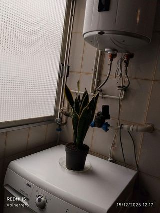 Piso en alquiler en Benalúa en Alicante