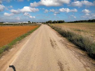 Terreno en venta en Bollullos Par del Condado