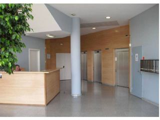 Oficina en alquiler en Coll Favà - Can Magí en Sant Cugat del Vallès