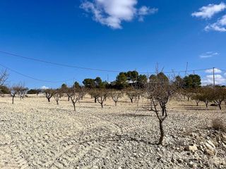 Solar en venta en Bullas