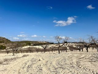 Solar en venta en Bullas