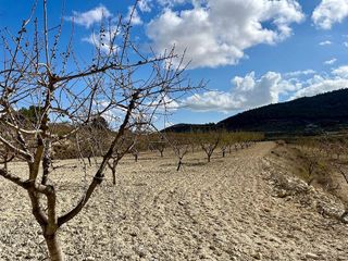 Solar en venta en Bullas