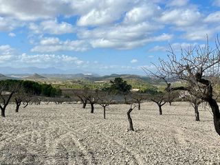 Solar en venta en Bullas