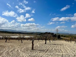 Solar en venta en Bullas