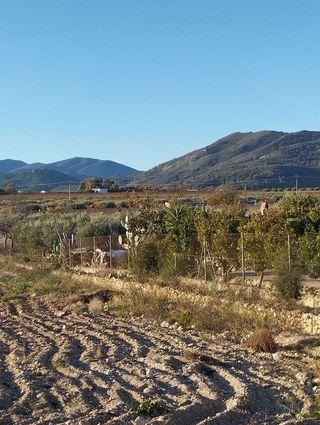 Solar en venta en Bullas