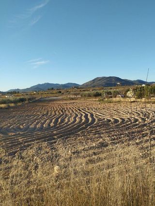 Solar en venta en Bullas