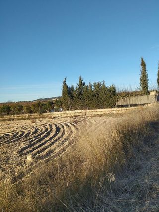 Solar en venta en Bullas