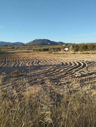 Solar en venta en Bullas