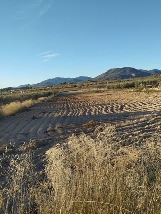 Solar en venta en Bullas