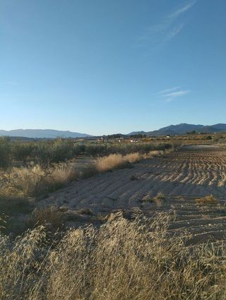 Solar en venta en Bullas