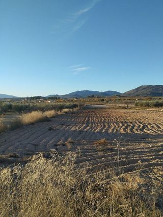 Solar en venta en Bullas