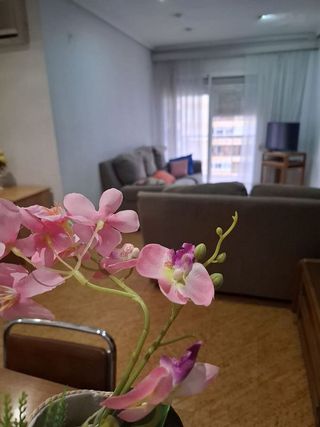 Piso en alquiler en Ciutat Jardí en Valencia