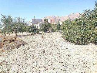 Solar en venta en Callosa de Segura