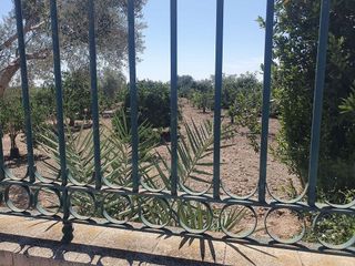 Solar en venta en Callosa de Segura