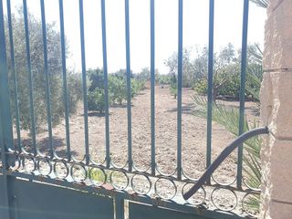 Solar en venta en Callosa de Segura