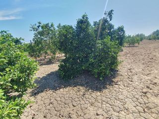 Solar en venta en Callosa de Segura