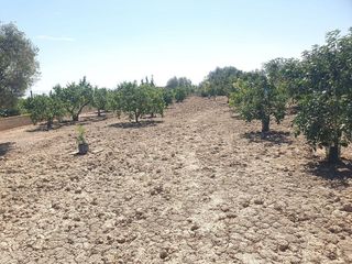 Solar en venta en Callosa de Segura