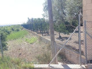 Solar en venta en Callosa de Segura