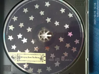 The Wallflowers - Rock Indie