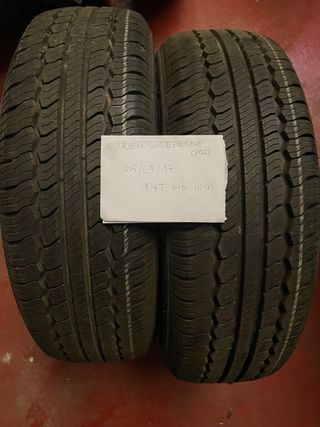 Neumáticos Nexen 215/65/17 104T M+S