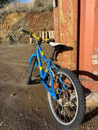 Bicicleta infantil azul y amarilla