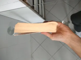 La neve cade su Cedars