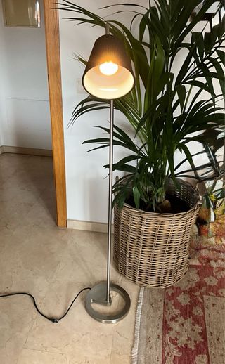 Lámpara de techo y lámpara de pie