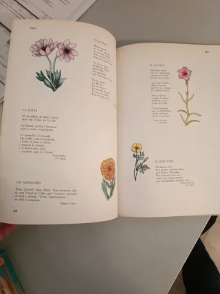 Libro poemas en catalán