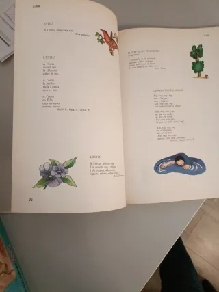 Libro poemas en catalán