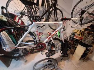 Bici Bianchi Carbono Talla 51