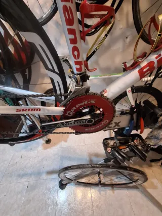 Bici Bianchi Carbono Talla 51