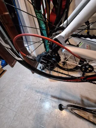 Bici Bianchi Carbono Talla 51